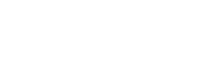 Park-Avenue-Solutions_white-logo
