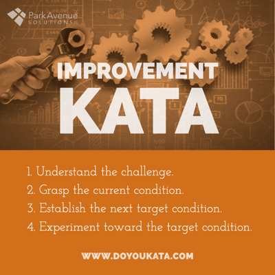 Steps of the Improvement Kata | DoYouKata.com | Park Avenue Solutions | Toyota Kata Training and Kata Coaches