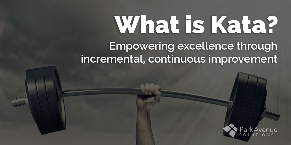 What Is Kata How Is It Different Than Lean
